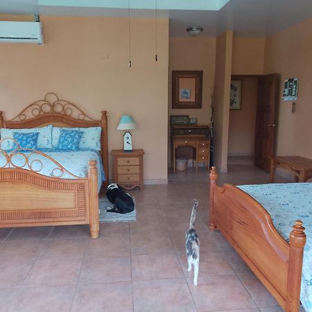 Gone Fishing Panama Resort 博卡奇卡 外观 照片