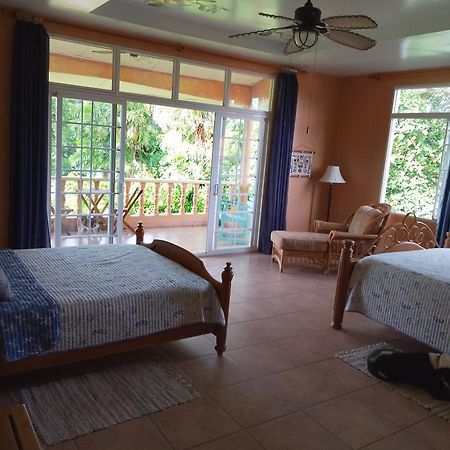 Gone Fishing Panama Resort 博卡奇卡 外观 照片