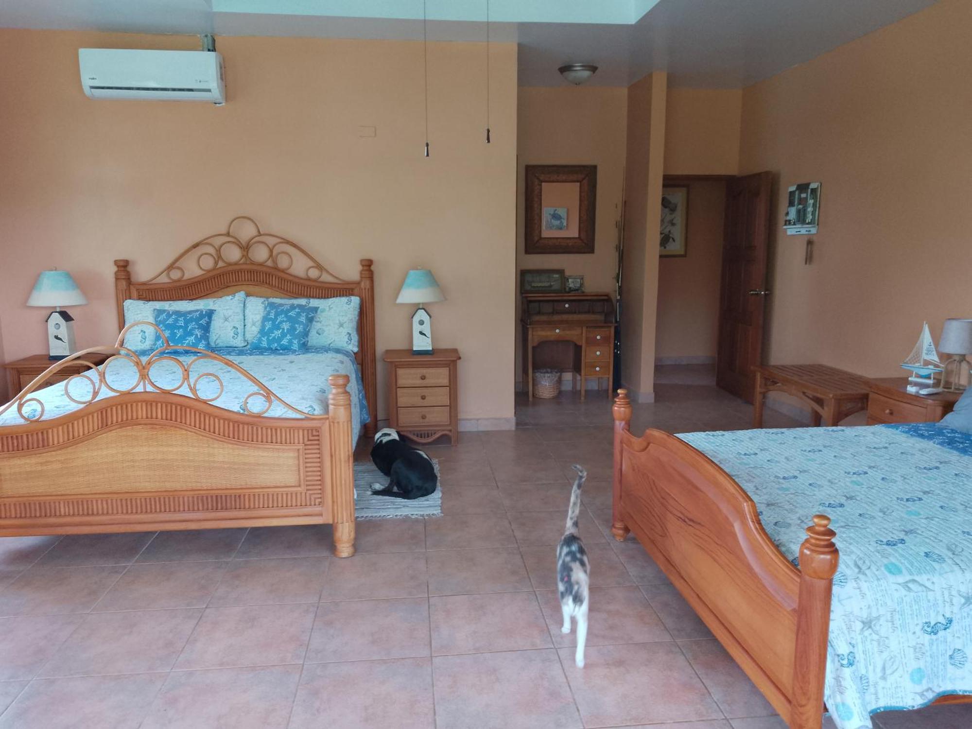 Gone Fishing Panama Resort 博卡奇卡 外观 照片